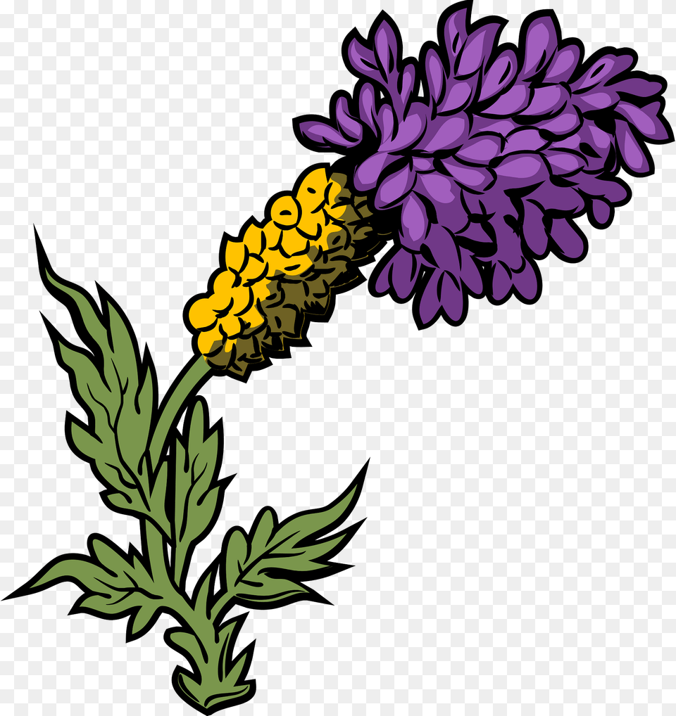 Flower Clipart, Plant, Purple, Daisy, Dahlia Free Transparent Png