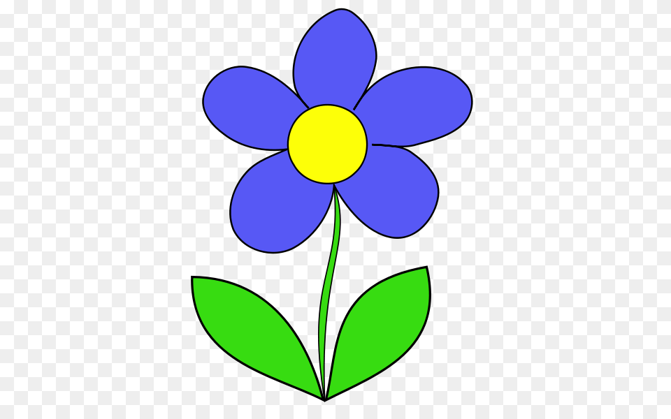 Flower Clipart, Anemone, Petal, Plant, Daisy Png Image