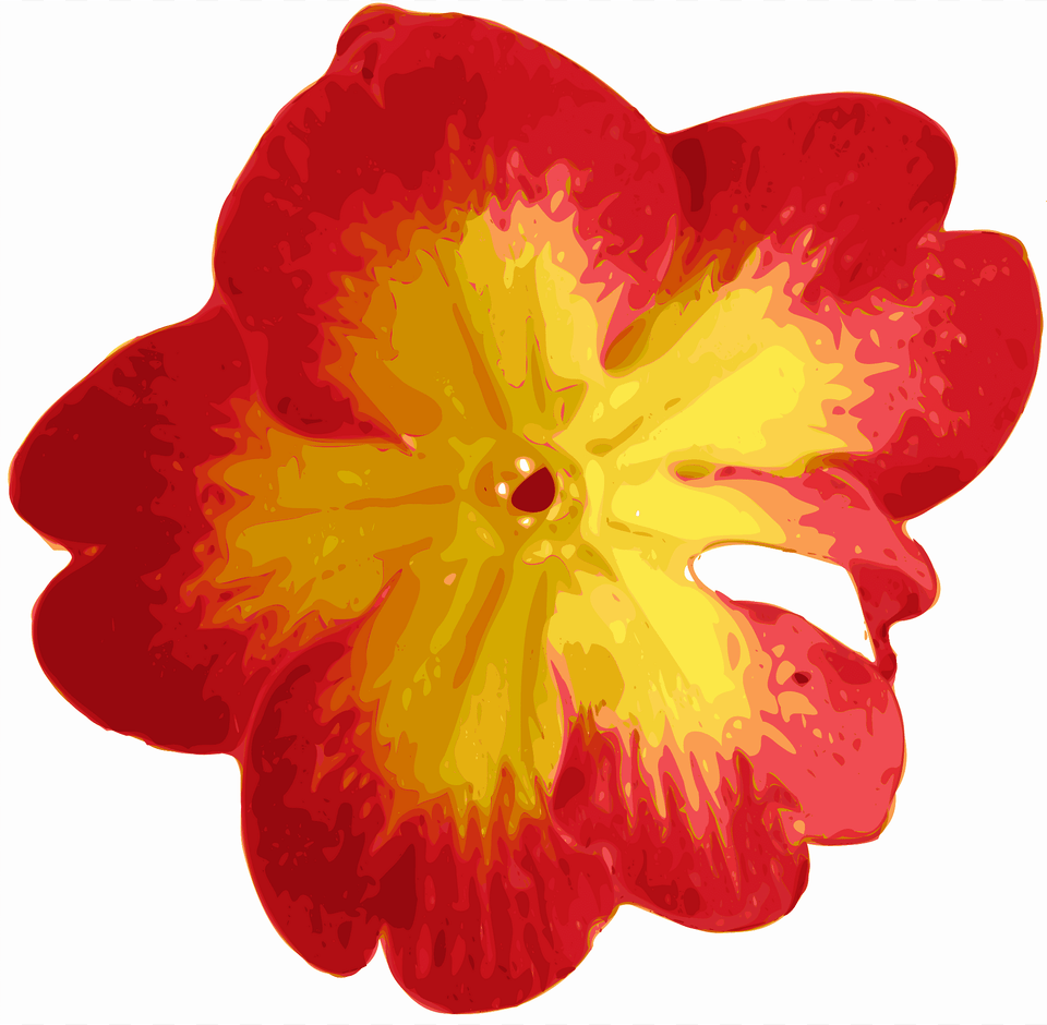 Flower Clipart, Petal, Plant, Geranium, Anther Png Image