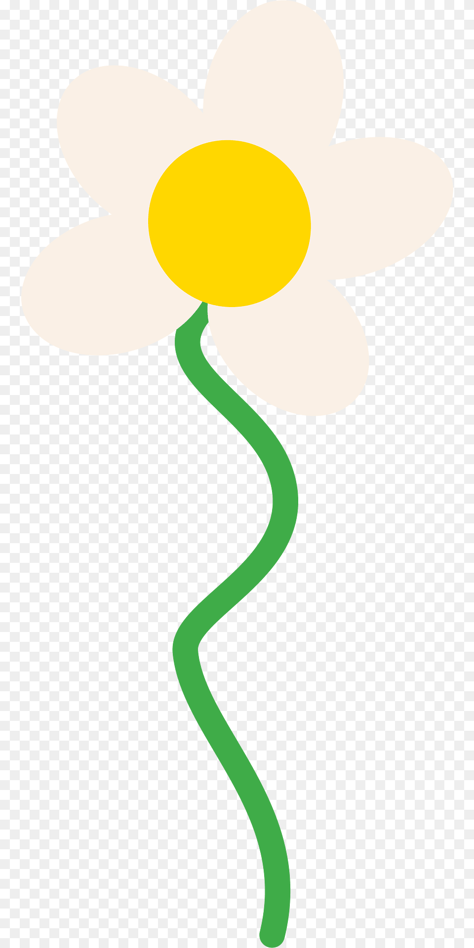 Flower Clipart, Anemone, Daffodil, Daisy, Plant Free Transparent Png