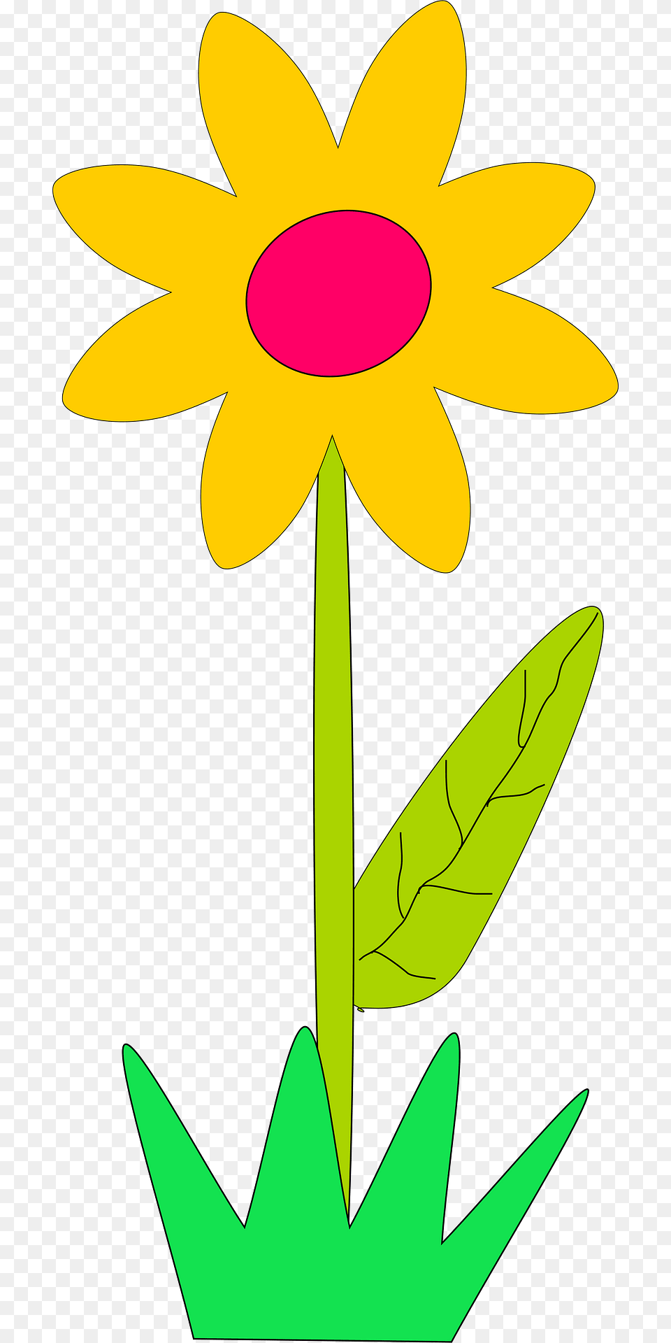 Flower Clipart, Petal, Daisy, Plant, Daffodil Free Png Download