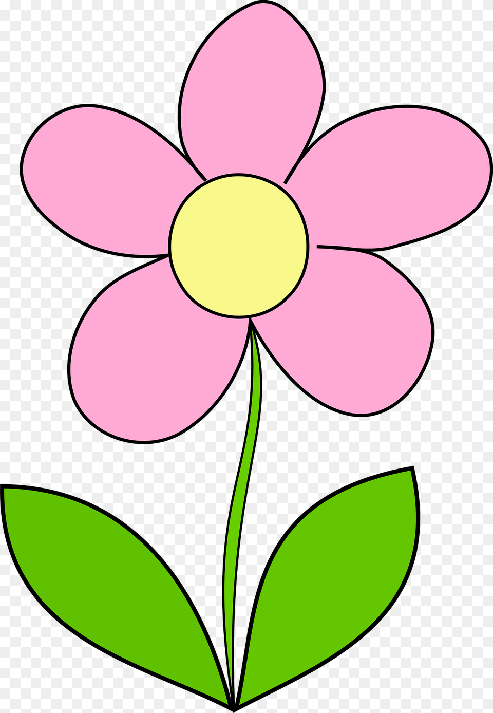 Flower Clipart, Anemone, Petal, Plant, Daisy Free Transparent Png