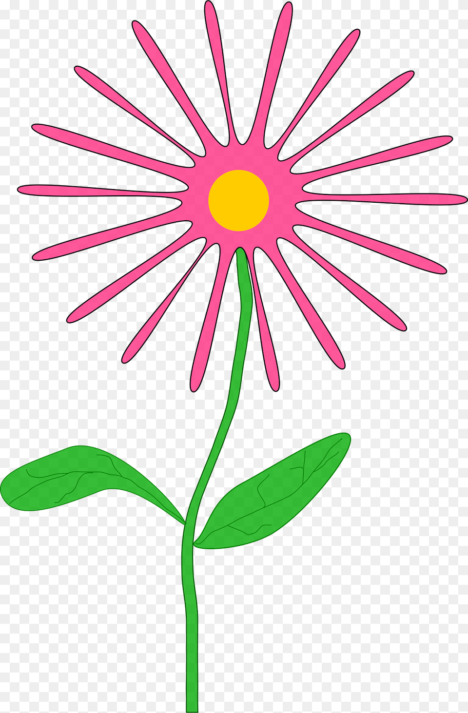 Flower Clipart, Daisy, Plant, Petal Free Png Download