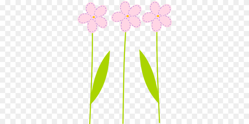 Flower Clipart Background, Anemone, Daisy, Plant, Petal Png Image