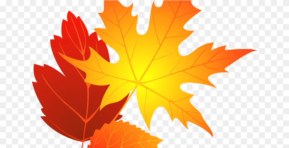 Flower Clipart Background Fall Leaf Clip Art, Plant, Tree, Maple Leaf, Maple Free Transparent Png