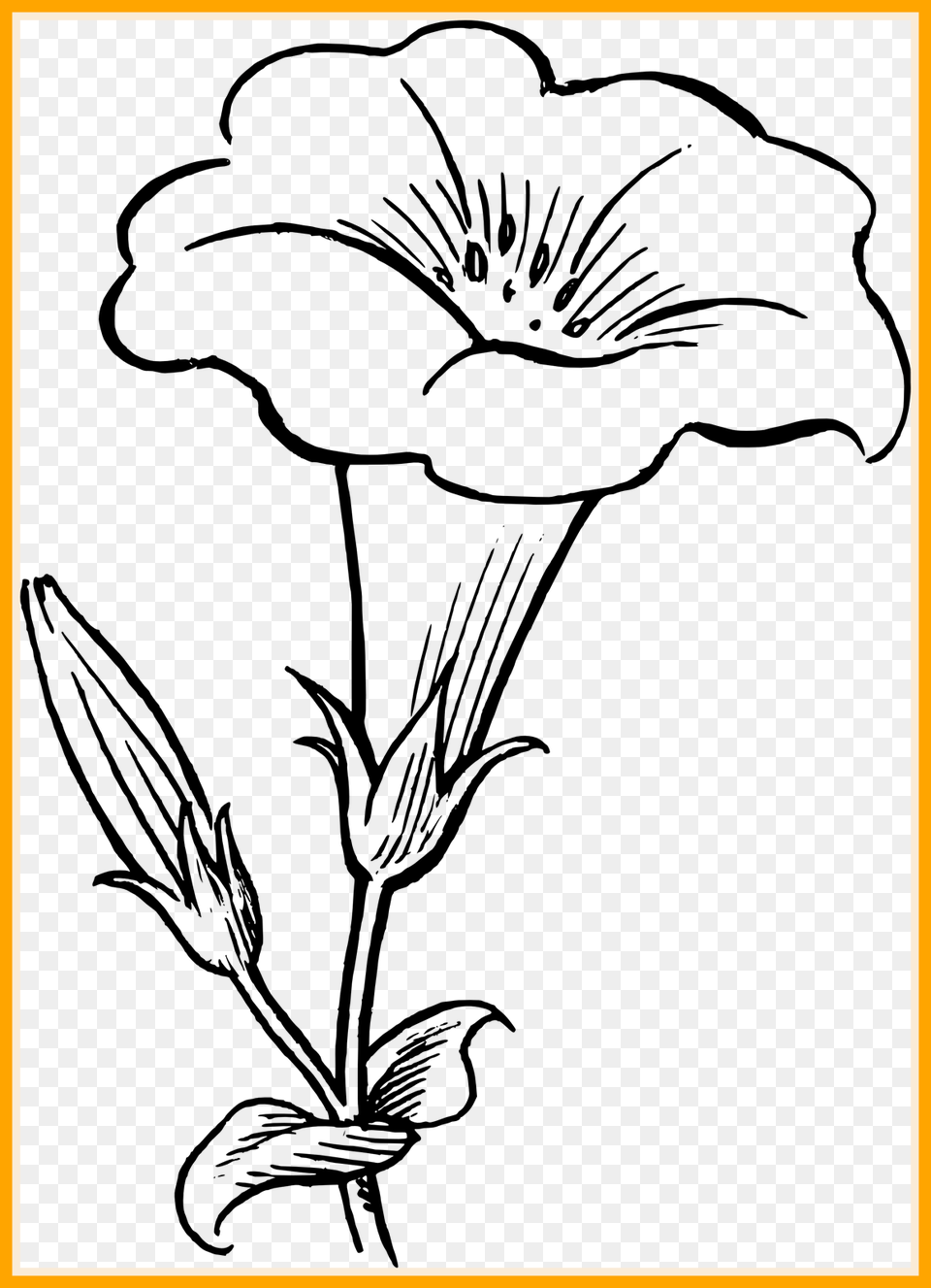 Flower Clipart Black And White Png