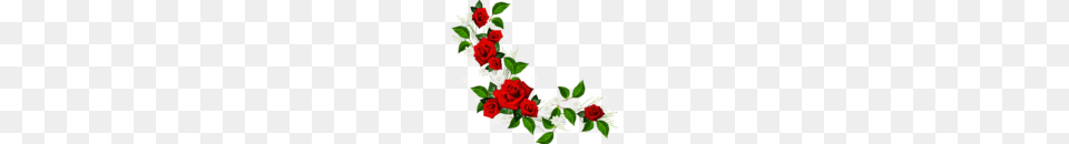 Flower Clipart Border Clip Art, Rose, Floral Design, Flower Arrangement, Plant Free Png Download