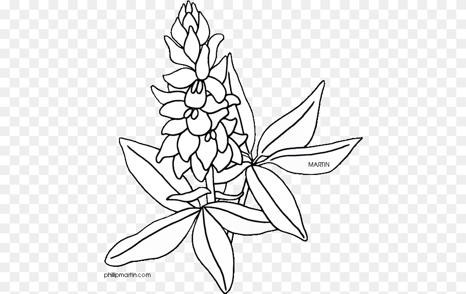 Flower Clipart Coloring, Leaf, Plant, Stencil, Art Free Transparent Png