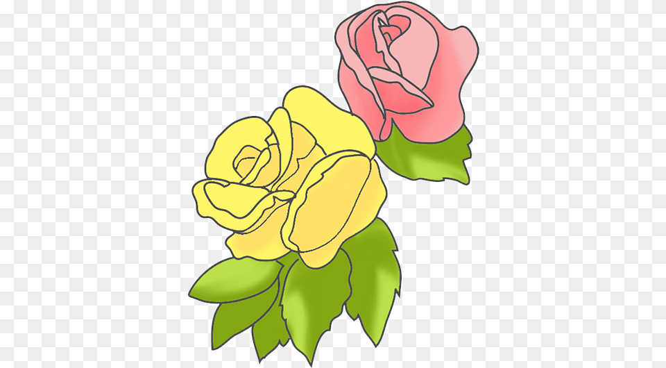 Flower Clipart Coloring Book, Plant, Rose, Art, Baby Free Png