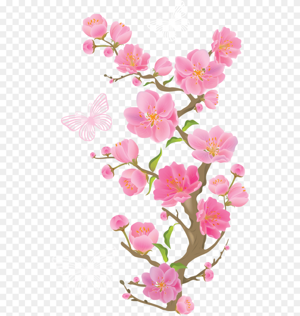 Flower Clipart Cute Clipart Spring Branch Cherry Korean Cherry Blossoms, Petal, Plant, Anther, Cherry Blossom Png