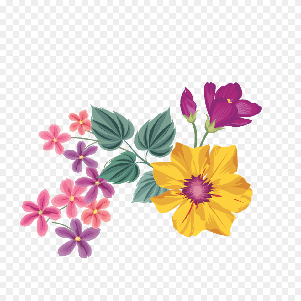 Flower Clipart Floral Design Flower Watercolor Painting Frame, Plant, Anemone, Petal, Geranium Free Png Download