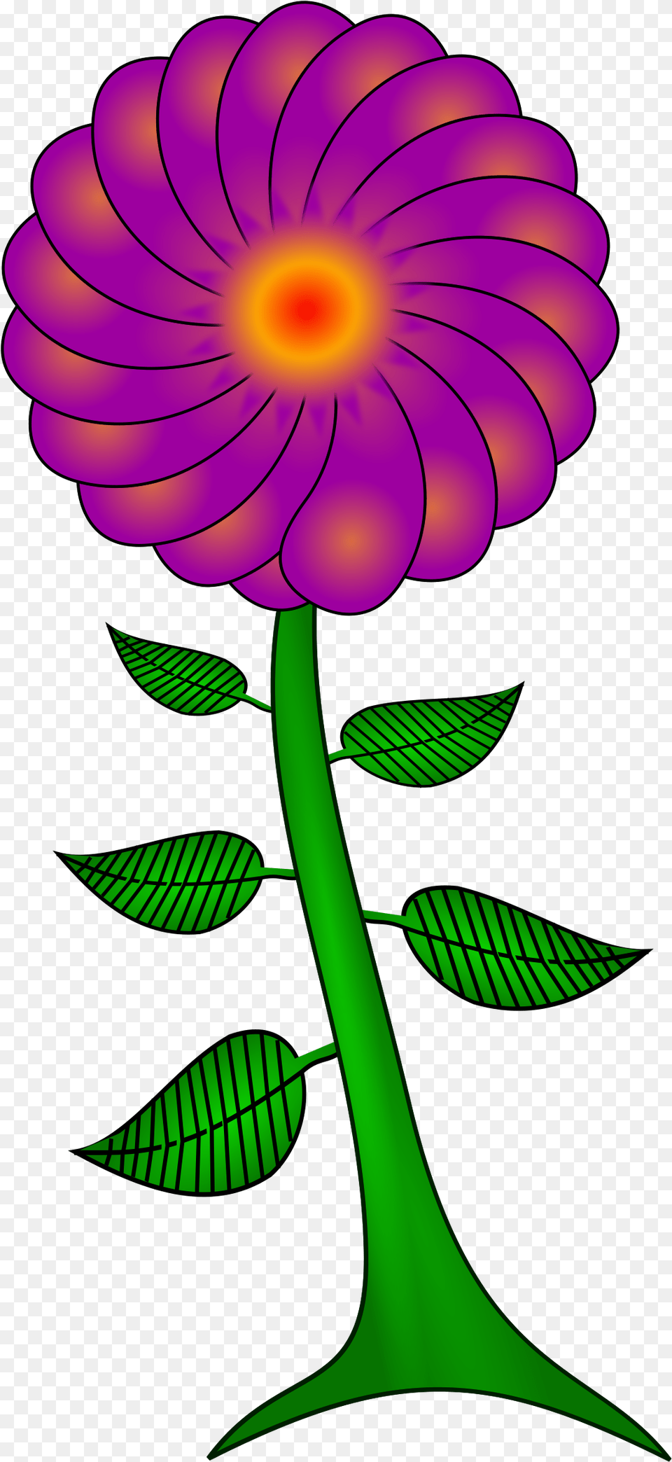 Flower Clipart Flower, Dahlia, Daisy, Plant, Petal Png
