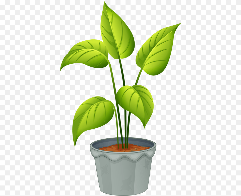 Flower Clipart Freeuse Stock Files Name Non Flowering Plants, Leaf, Plant, Potted Plant, Green Free Png