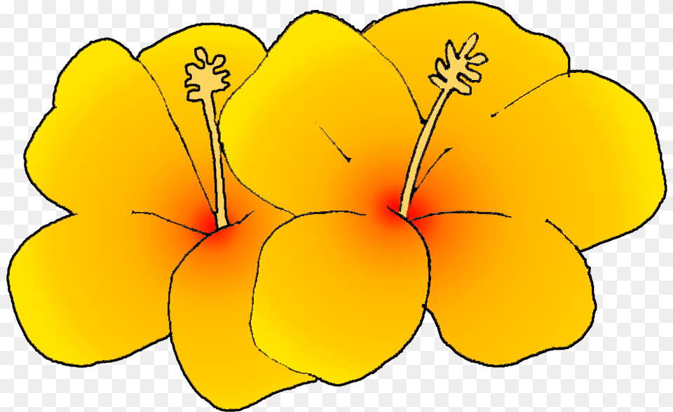 Flower Clipart Hawaii State Flower Clip Art, Anther, Plant, Hibiscus, Petal Free Transparent Png
