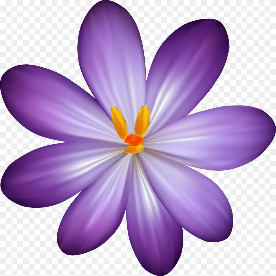 Flower Clipart Hawaiian Flowers Png