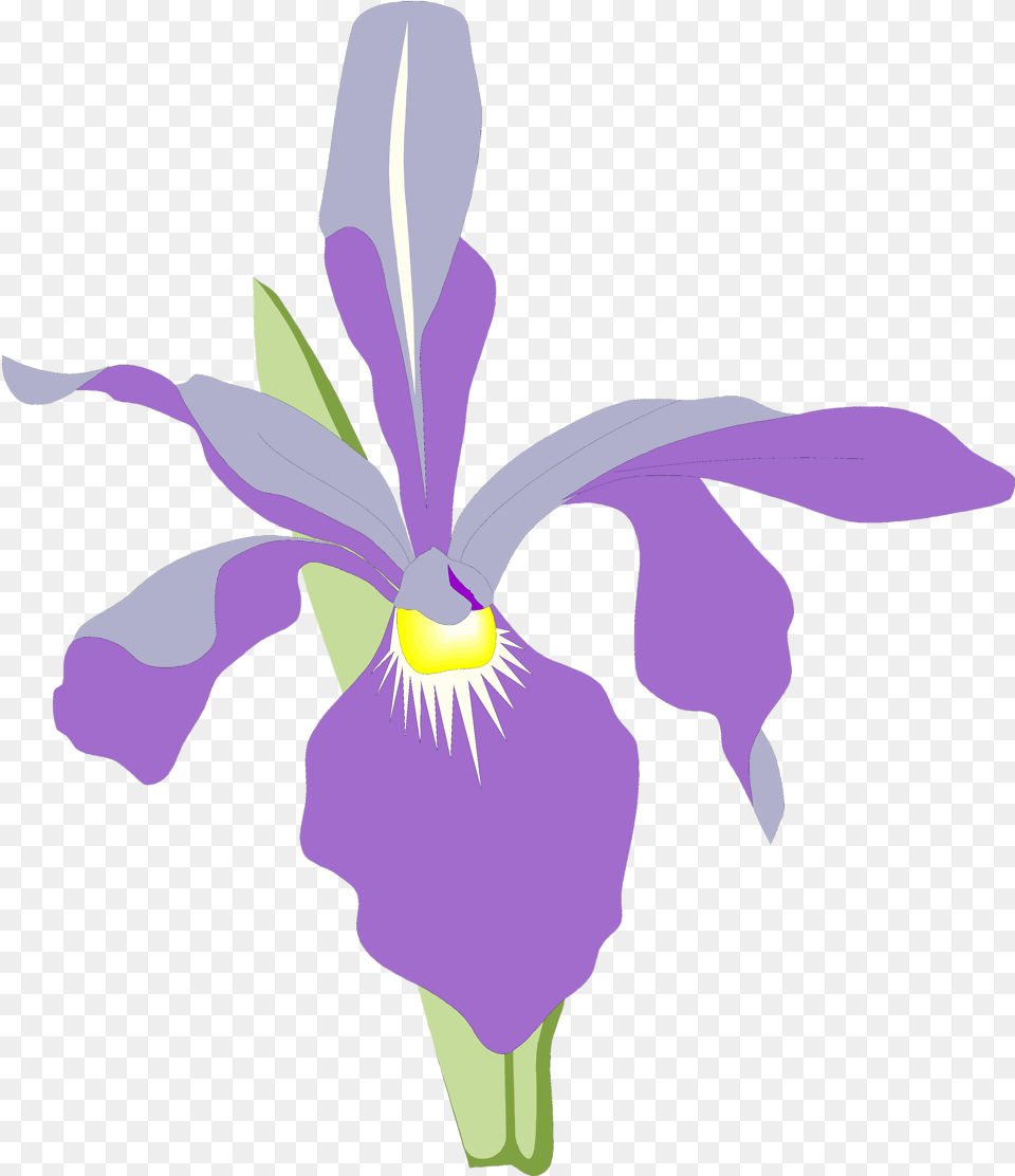 Flower Clipart Illustration Purple Orchids Clipart, Iris, Plant, Petal, Person Free Png Download