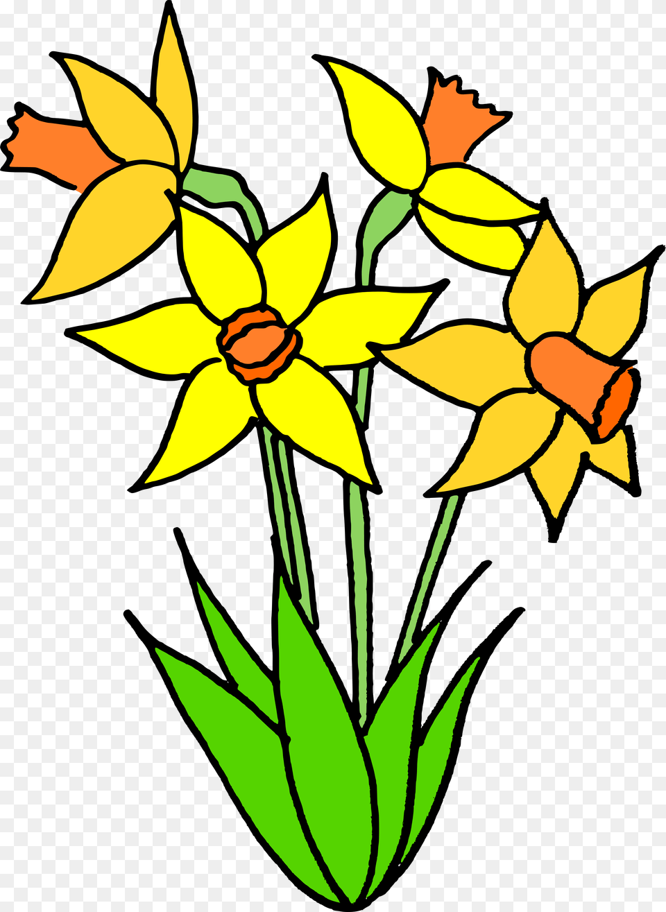 Flower Clipart Name Spring Bulb Clip Art, Daffodil, Plant Png