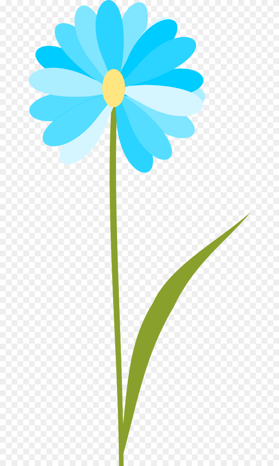 Flower Clipart No Backgrond, Daisy, Plant, Petal, Anemone Png