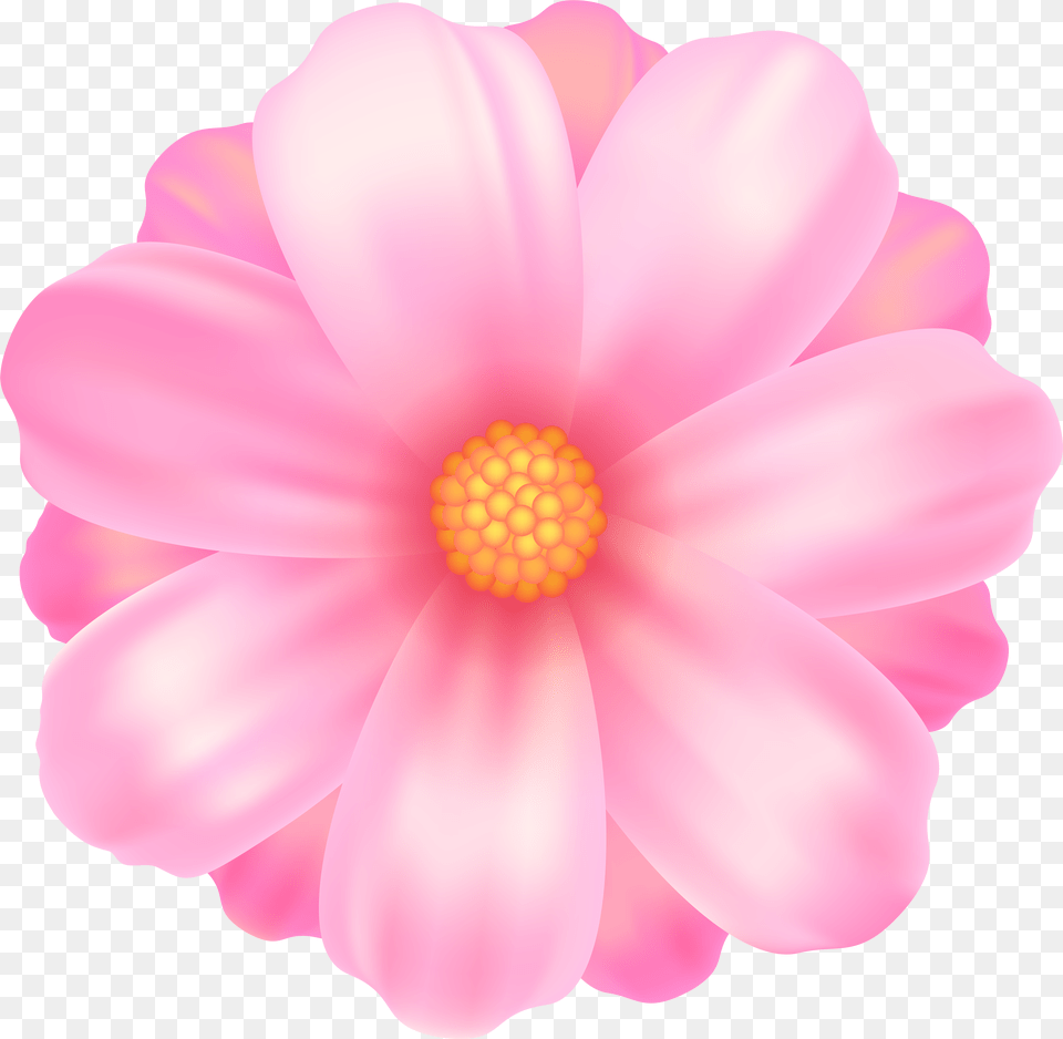 Flower Clipart Pink Pictures Background Pink Flower Clipart, Anemone, Anther, Dahlia, Daisy Free Transparent Png