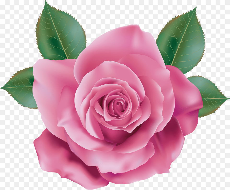 Flower Clipart Rose Clipart Candy Clipart Flower Pink Rose, Bowl, Dish, Food, Meal Free Transparent Png