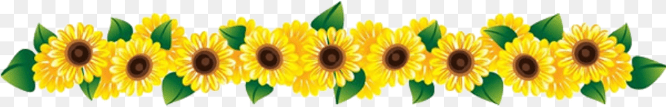 Flower Clipart Row Ftestickers Row Of Flowers, Plant, Sunflower Free Transparent Png