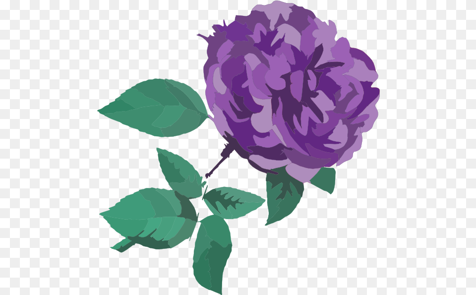 Flower Clipart Transparent Background, Dahlia, Plant, Rose, Carnation Png Image