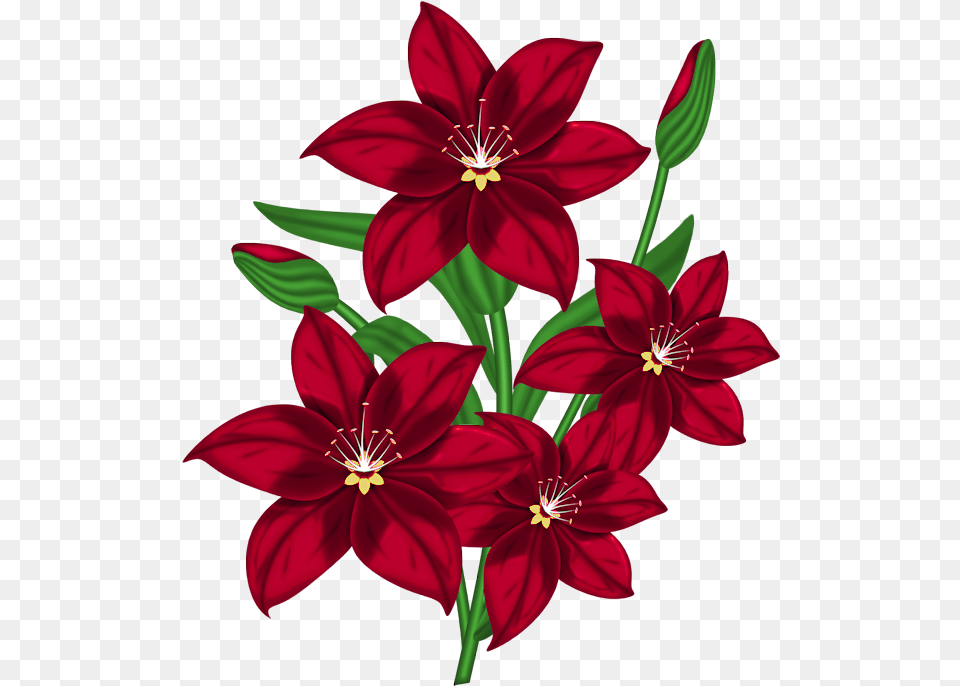 Flower Clipart Stock Flower Design For Chart, Plant, Anther, Dahlia Free Transparent Png