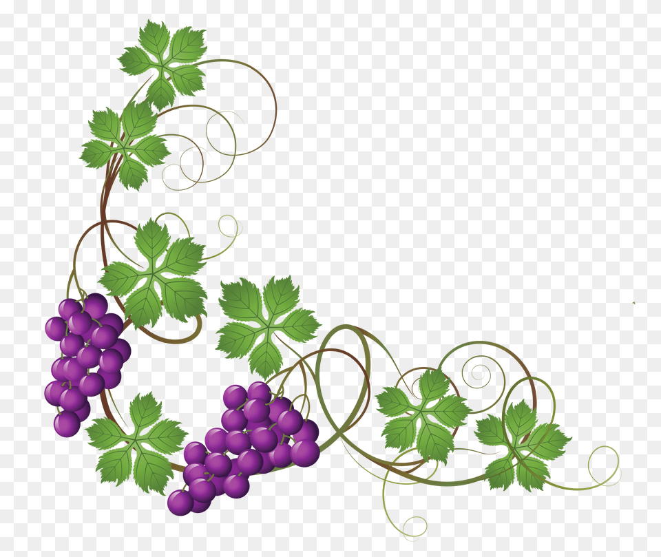 Flower Clipart Vine, Food, Fruit, Grapes, Plant Png