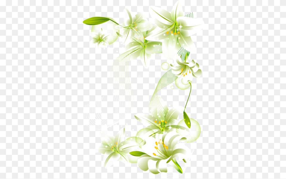 Flower Clipart White Flower Border Background, Anther, Pattern, Graphics, Floral Design Free Transparent Png