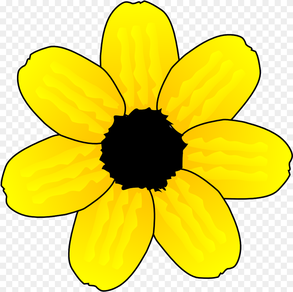 Flower Clipart With Transparent Clip Art, Anemone, Daisy, Petal, Plant Free Png