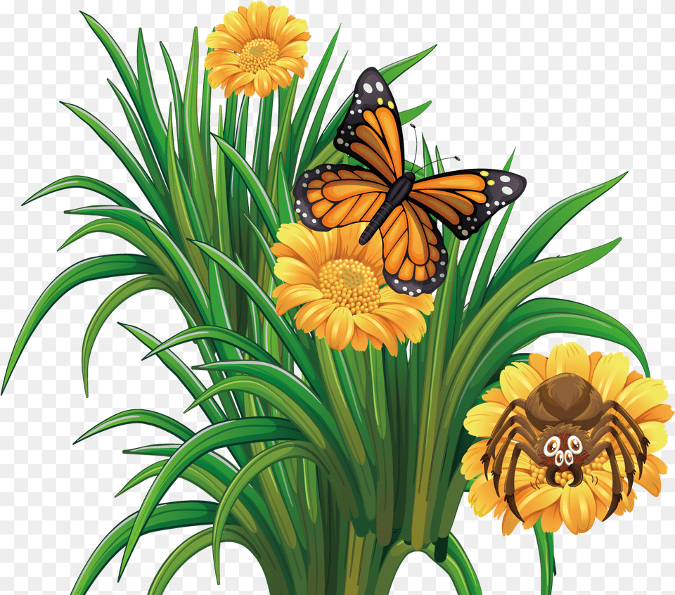 Flower Clipart Yellow Butterfly On A Flower Clipart, Plant, Daisy, Animal, Insect Free Png