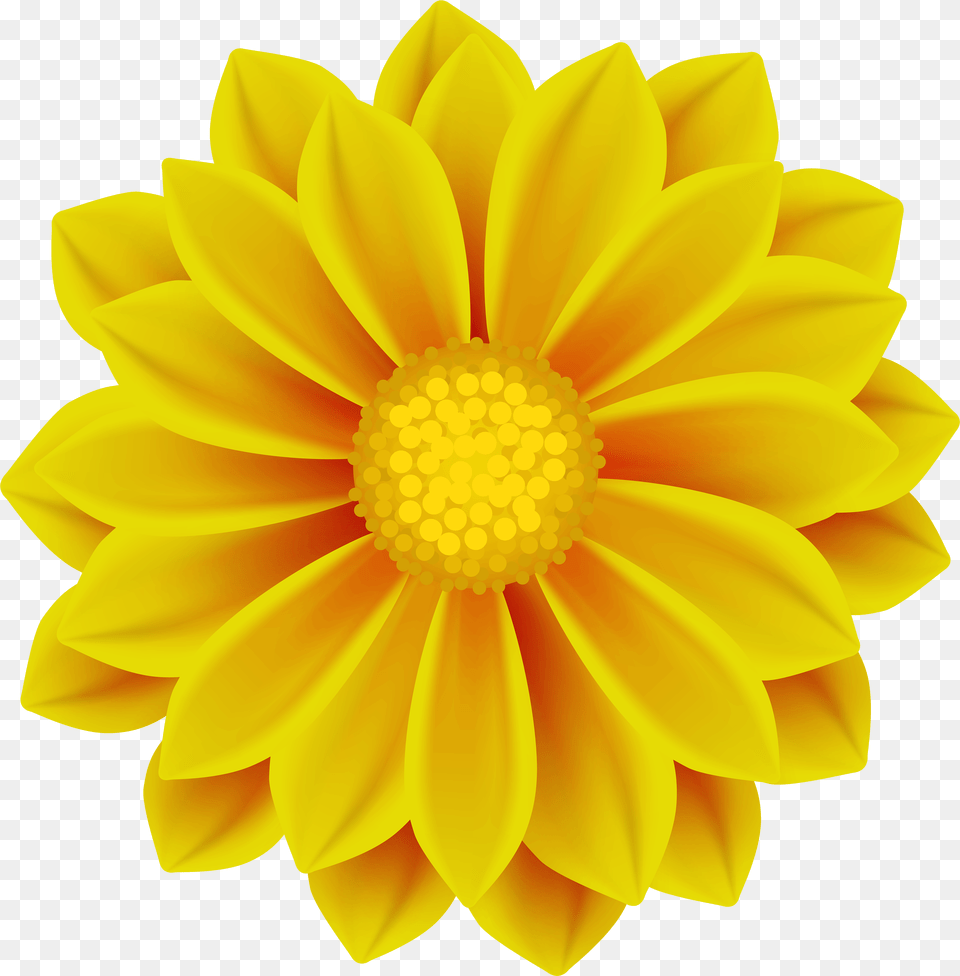 Flower Clipart Yellow Pictures, Dahlia, Daisy, Petal, Plant Free Transparent Png