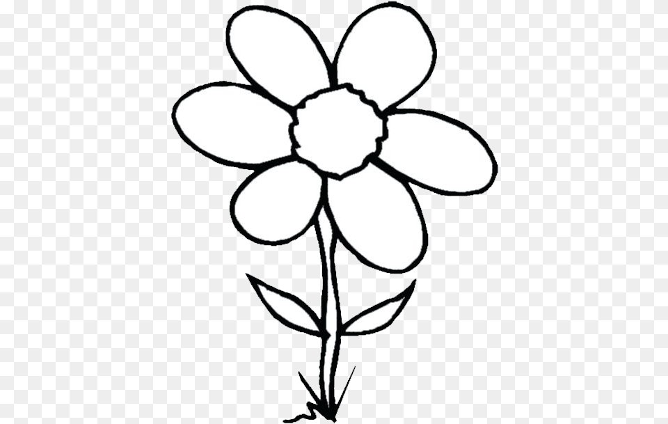 Flower Cliparts Black Clipart Flower Drawing Black And White, Daisy, Plant, Daffodil, Stencil Png