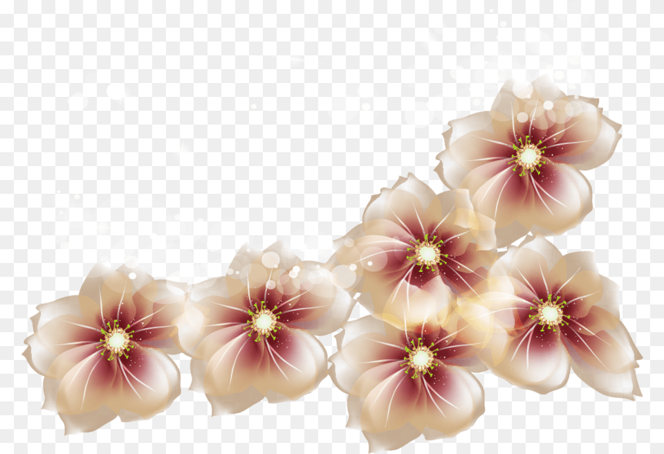 Flower Cliparts Transparent Brown Transparent Flowers, Plant, Graphics, Petal, Floral Design Free Png