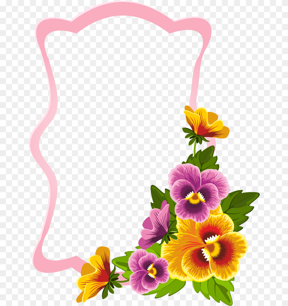 Flower Color Frame Clipart Download Flower, Plant, Flower Arrangement, Petal Free Png