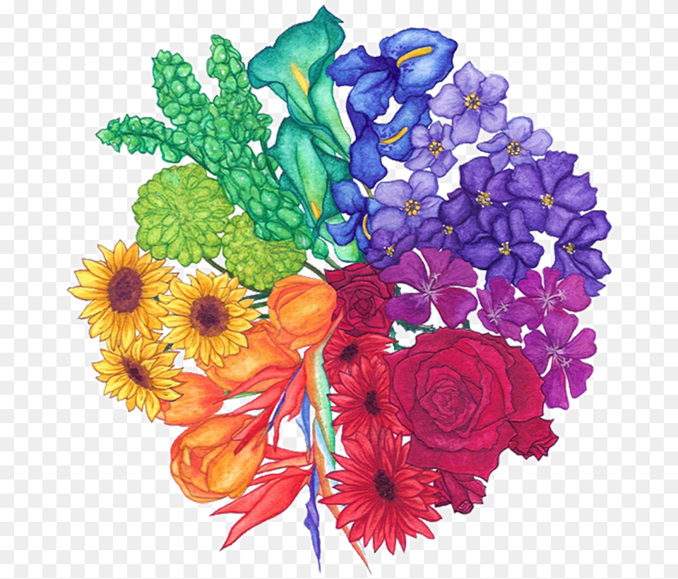 Flower Color Wheel Project, Art, Pattern, Graphics, Floral Design Png Image