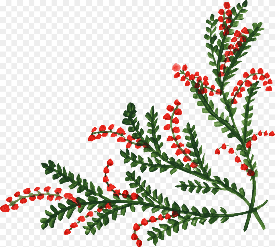 Flower Corner Christmas Flowers Corner, Conifer, Embroidery, Pattern, Plant Free Png Download