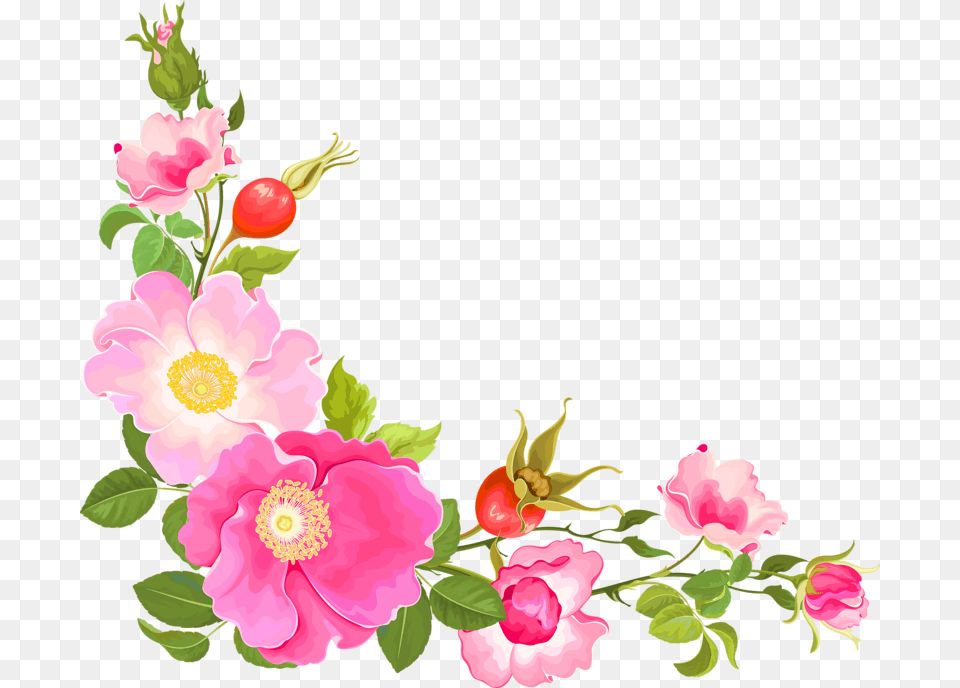 Flower Corner Design, Anemone, Plant, Petal, Rose Png Image