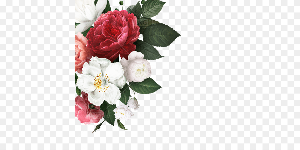Flower Corner Design Floral Corner Design, Rose, Plant, Flower Bouquet, Flower Arrangement Free Png Download
