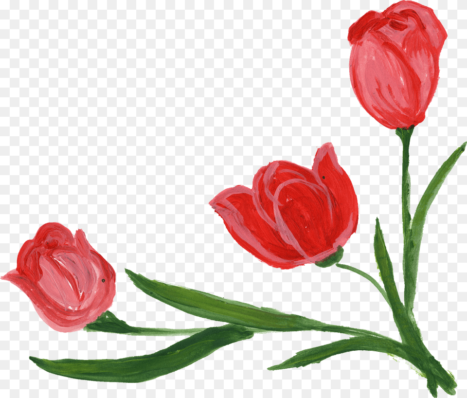Flower Corner Transparent Portable Network Graphics, Plant, Rose, Petal, Tulip Png