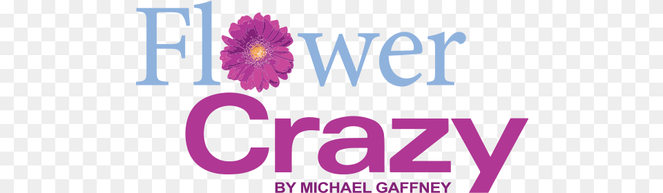 Flower Crazy Language, Daisy, Plant, Purple, Text Free Transparent Png
