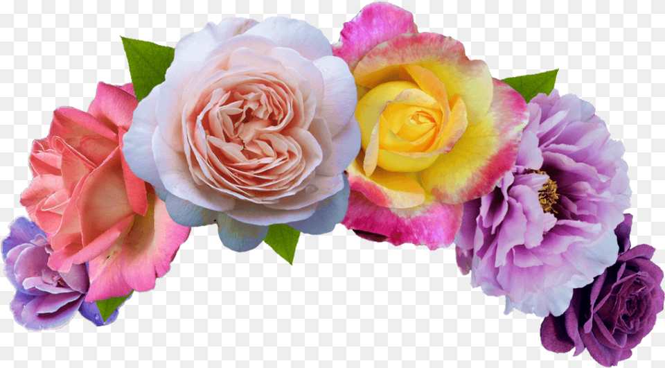 Flower Crown, Flower Arrangement, Flower Bouquet, Plant, Rose Png Image
