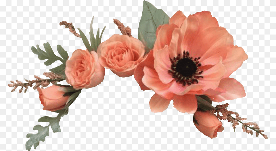 Flower Crown, Anemone, Plant, Petal, Flower Bouquet Free Png Download
