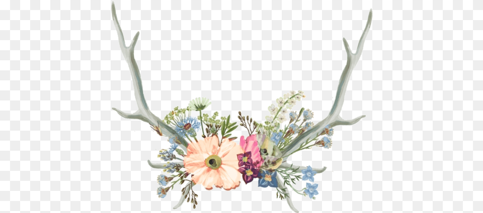 Flower Crown Antler Clipart Aesthetic Tumblr Flower Crown Drawing, Flower Arrangement, Plant, Art, Floral Design Free Transparent Png