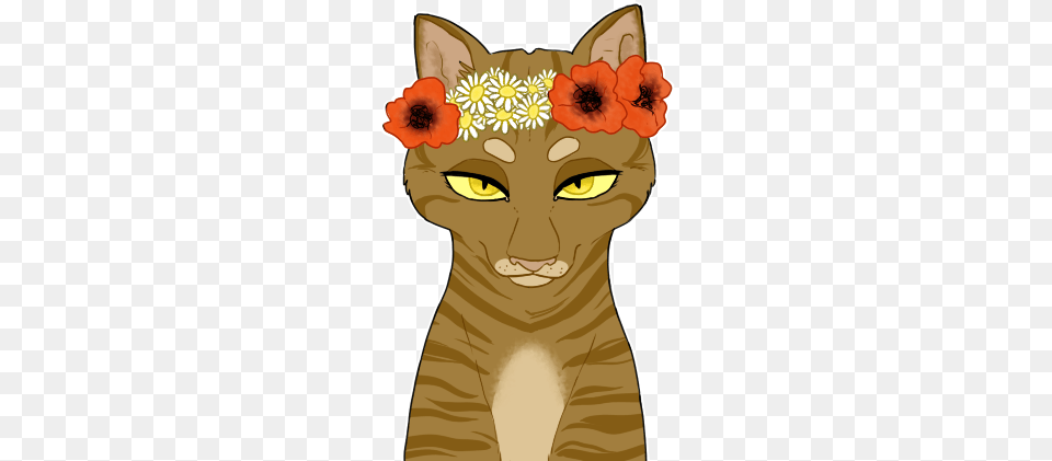Flower Crown Cat Drawn Warrior Cat With Flower Crown, Baby, Person, Animal, Pet Png Image
