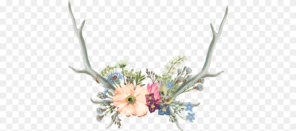 Flower Crown Clipart Tumblr Flower Crown, Antler, Flower Arrangement, Plant, Art Free Transparent Png