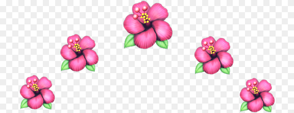 Flower Crown Crownflower Emojiflower Emoji Flowerpink Flower Emoji Headband, Plant, Geranium, Petal, Anther Png Image
