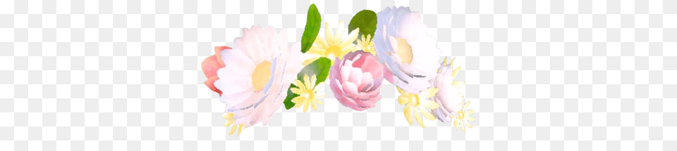 Flower Crown Filter, Petal, Plant, Daisy, Flower Arrangement Free Transparent Png