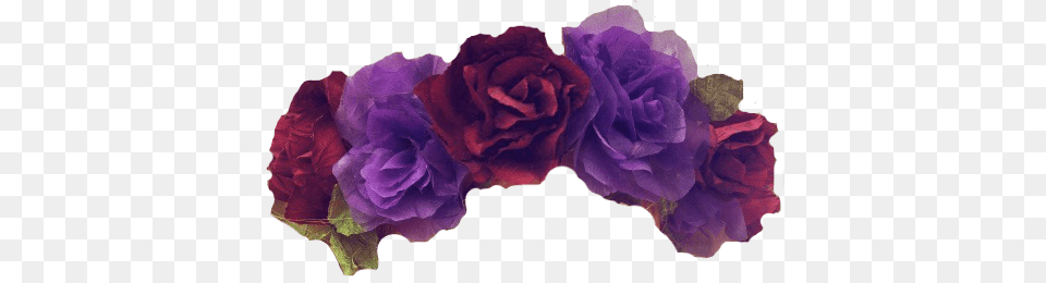 Flower Crown Flower Crown Tumblr Overlay, Rose, Purple, Plant, Geranium Png