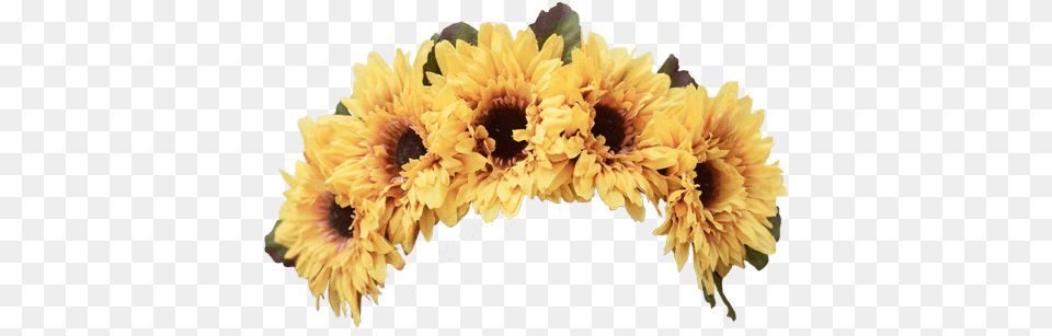 Flower Crown Flowers Yellow Dressup Costume Artificial Flower, Flower Arrangement, Plant, Sunflower, Petal Png